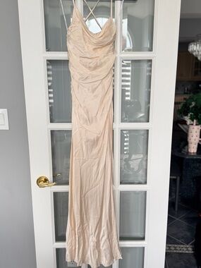Shona Joy Blush Nude Cowl Neck Maxi Slip Dress